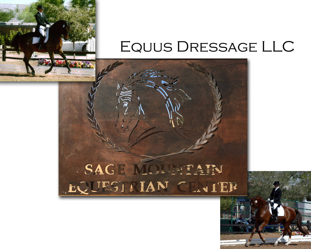 Equus Dressage